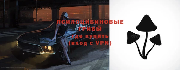 дживик Новодвинск