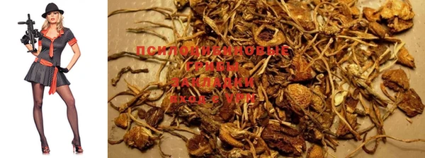 мефедрон Новозыбков