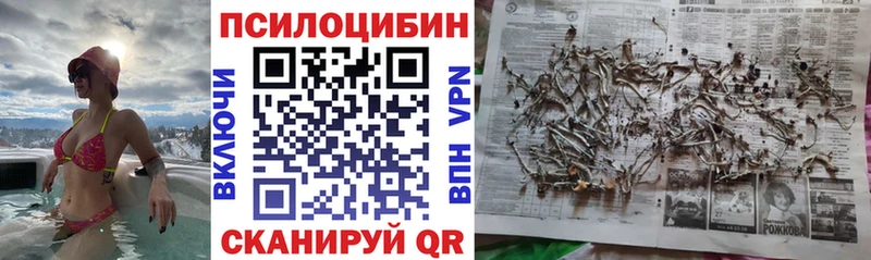 Галлюциногенные грибы ЛСД mega зеркало Чишмы